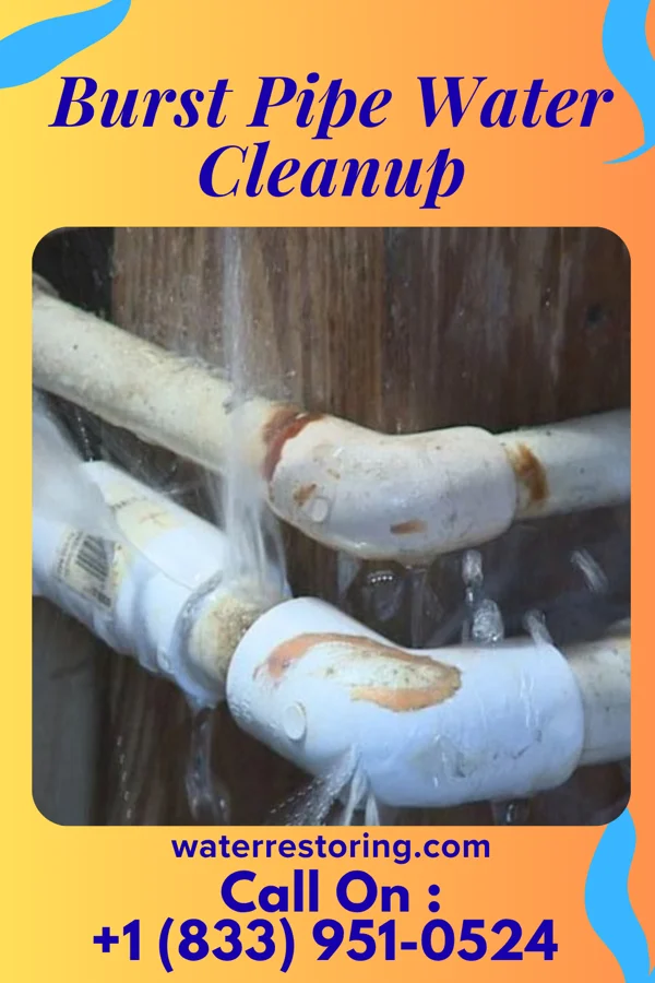 Burst Pipe Water Cleanup in Arnett, OK
