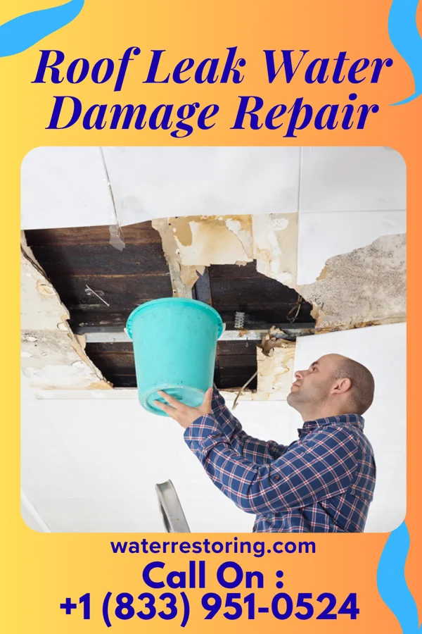 Roof Leak Water Damage Repair in Arnett, OK